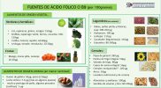 Vitamina B9 o ácido fólico