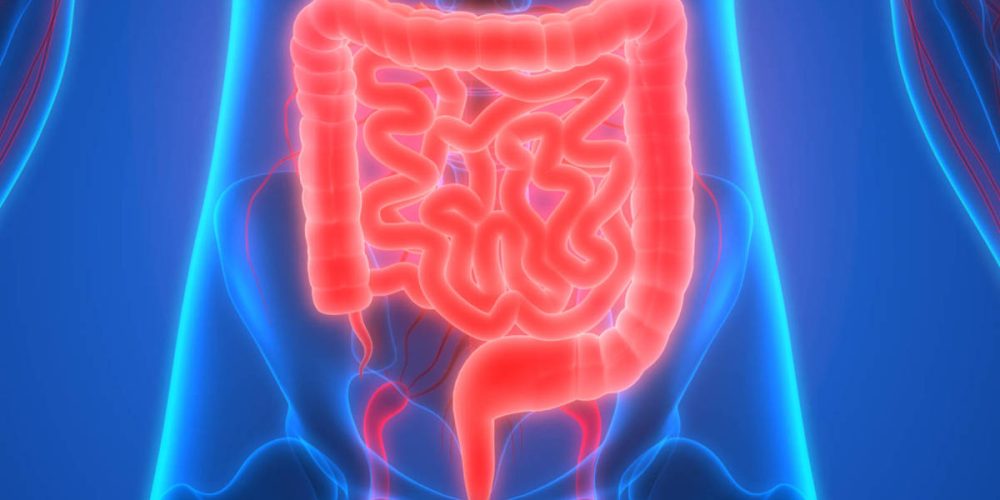 Entrevista a la Dr. Dulcenombre Gómez Garre sobre microbiota intestinal y  actualidad