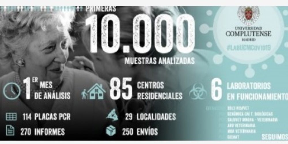 Imagen en miniatura de entrada