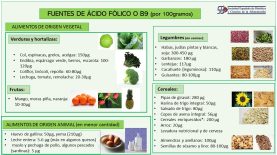 Vitamina B9 o ácido fólico