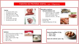 Proteína animal
