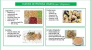 Proteína vegetal