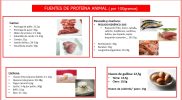 Proteína animal