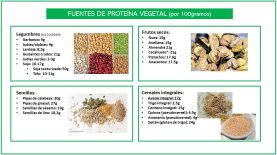 Proteína vegetal